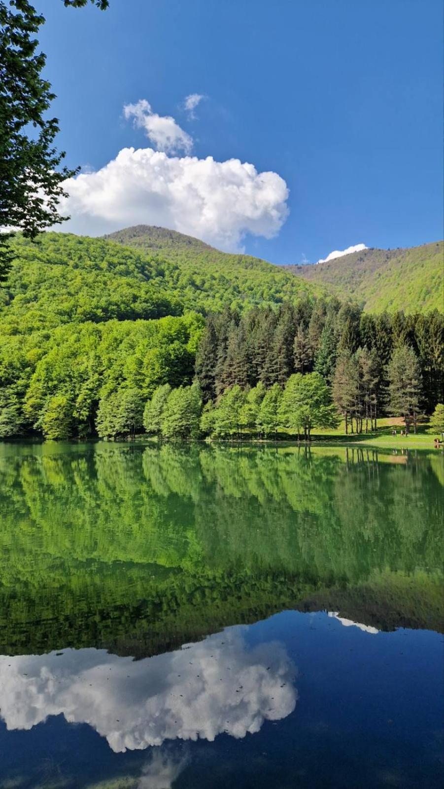 Apartmani Toki Balkana Mrkonjic Grad Bagian luar foto
